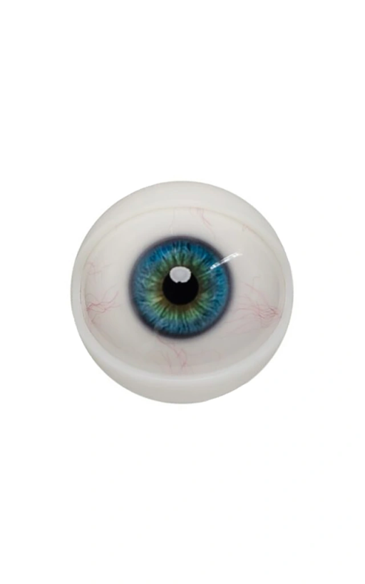 Olhos mecanizados para cabeças Hard Silicone ZELEX.