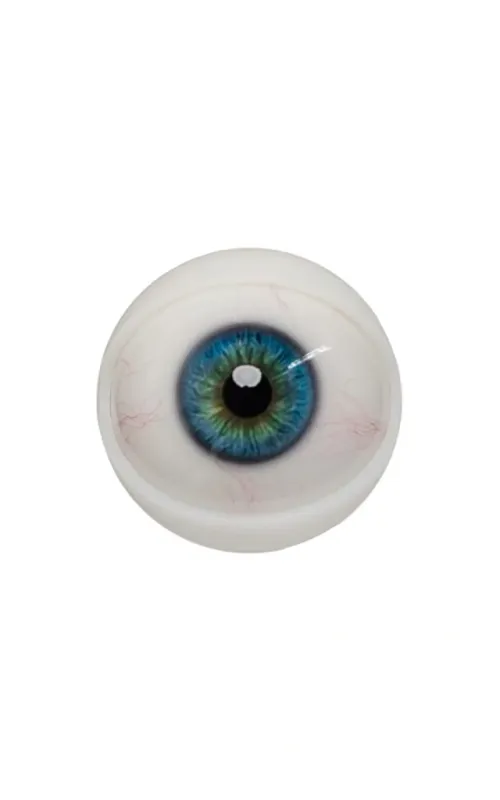 Olhos mecanizados para cabeças Hard Silicone ZELEX.