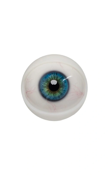 Olhos mecanizados para cabeças Hard Silicone ZELEX.