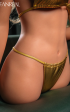 Torso Della