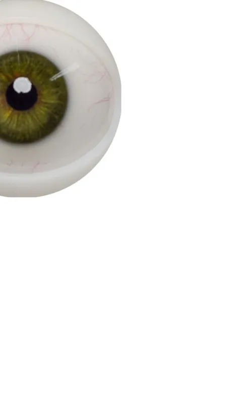Olhos mecanizados para cabeças Hard Silicone ZELEX.