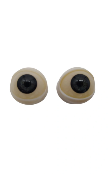 Ojos para Sex Doll cabeza Hard Silicone
