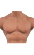 Torso Mark