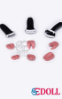 Dientes de resina SEDoll