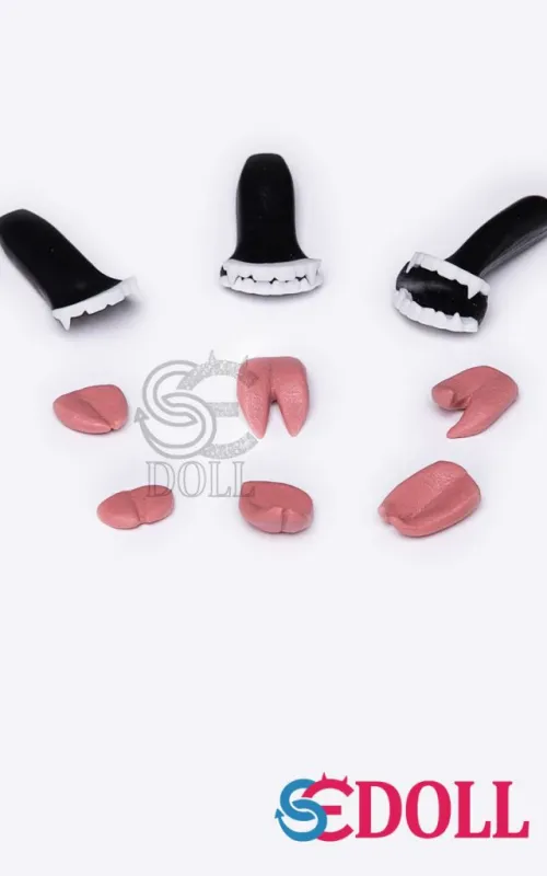 Dientes de resina SEDoll