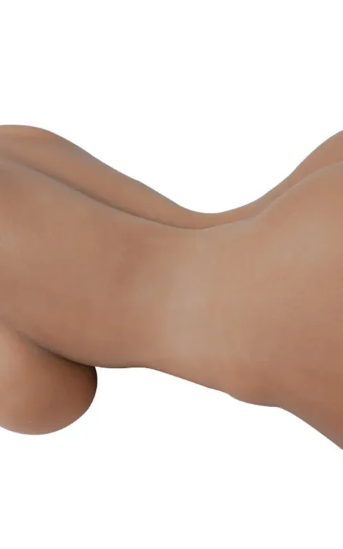 Torso Aurora 2.0