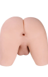 Torso Shemale Sarina