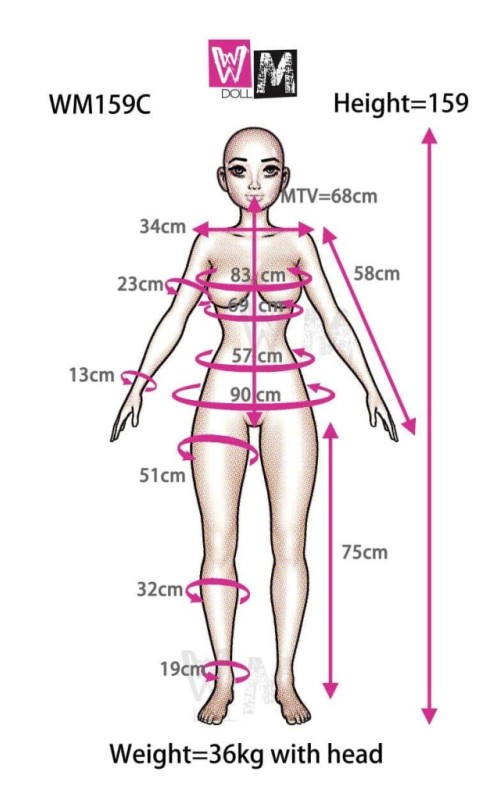 159c measurements wmdoll