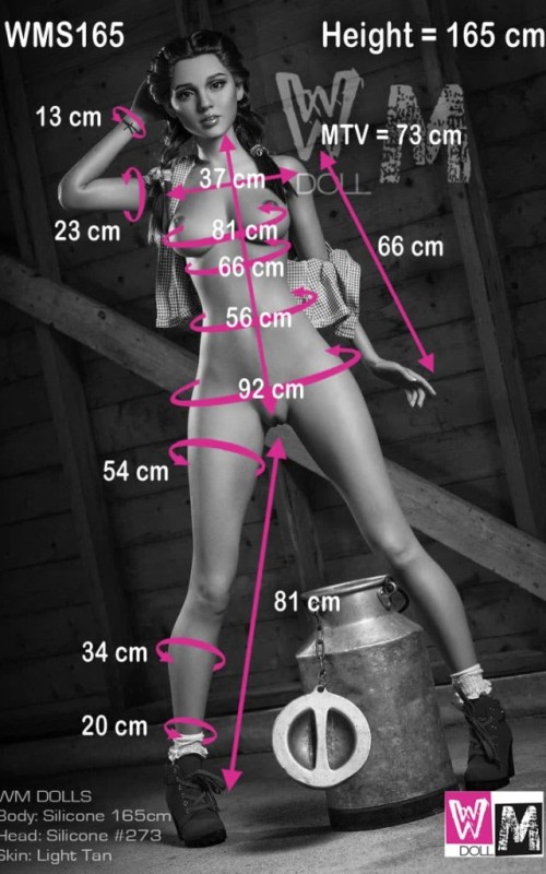 WM S165 Data