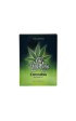 Oh! Holy Mary · Pleasure Oil