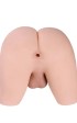 Torso Shemale Sarina
