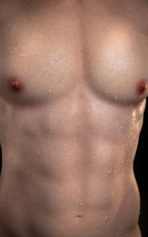 Torso masculino Chris da LoveNestle Torso masculino Chris da LoveNestle