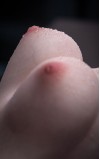 Torso Hannah