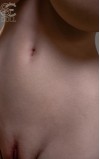 Torso Sophia Lane
