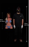 Torso Hedia