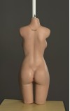 Torso Bella