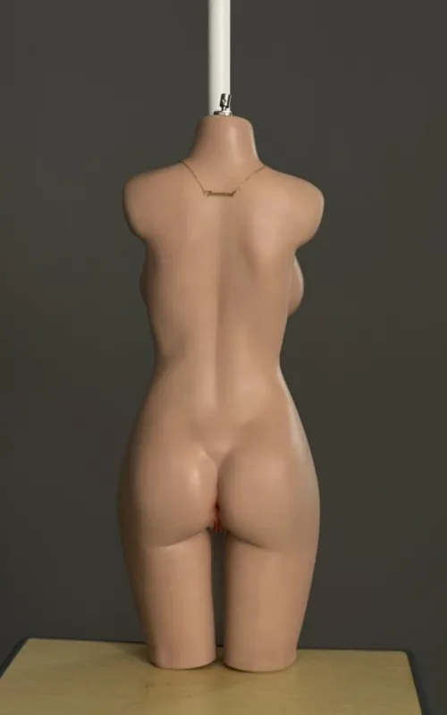 Torso Bella