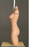 Torso Leia