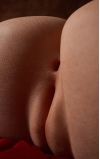 Torso Livia, creada para complacerte • SiliconGirls