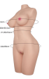 Torso Diana