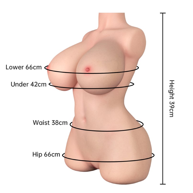 torso-veronica-lovenestle.jpg